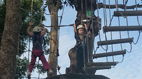 Forest Adventure Singapore’s first and only Treetop .